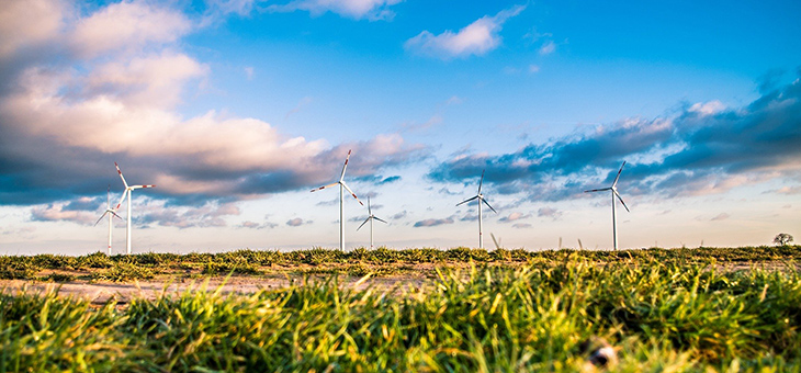 New Nature Energy! ARPA-type funding gives green technology an ‘innovation advantage’, study finds